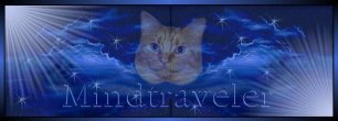 Mindtraveler