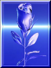 BlueRose